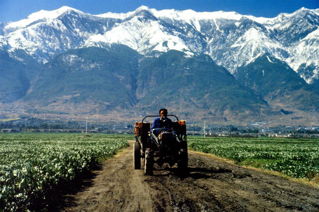 Man on a tractor at the foothills of the Himalayan mountains