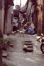 Taipei alley with dogs