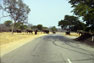 A herd of elephants  crossing a road in Hwange National Park