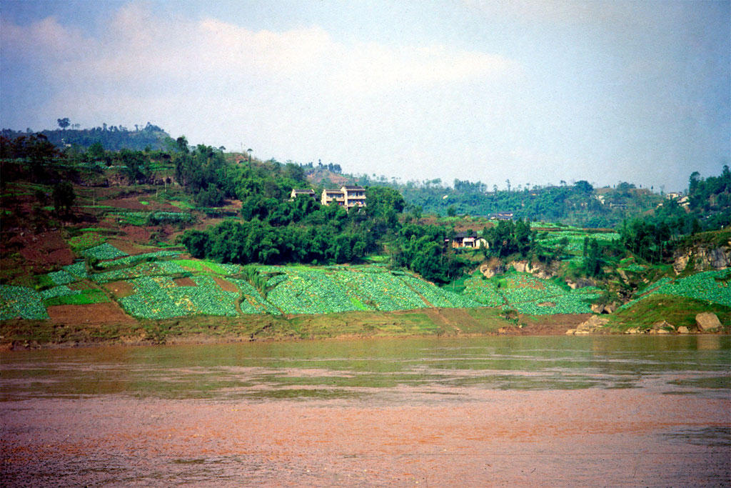 Sejltur på Yangtze floden med opdyrkede bredder