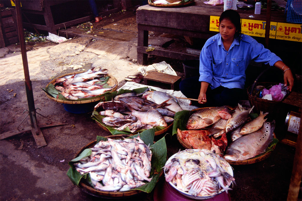 Market in Nong Khai