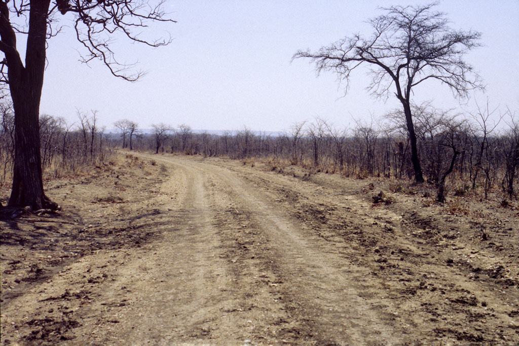 A dusty road near Masvingo